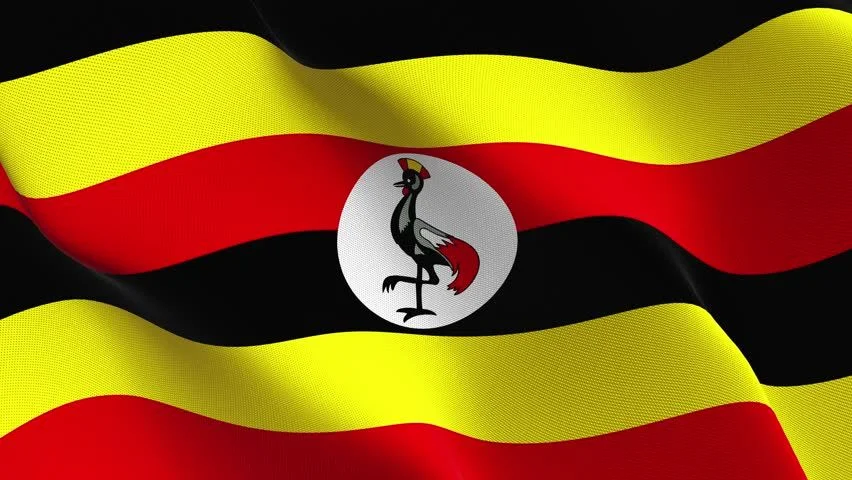 flag